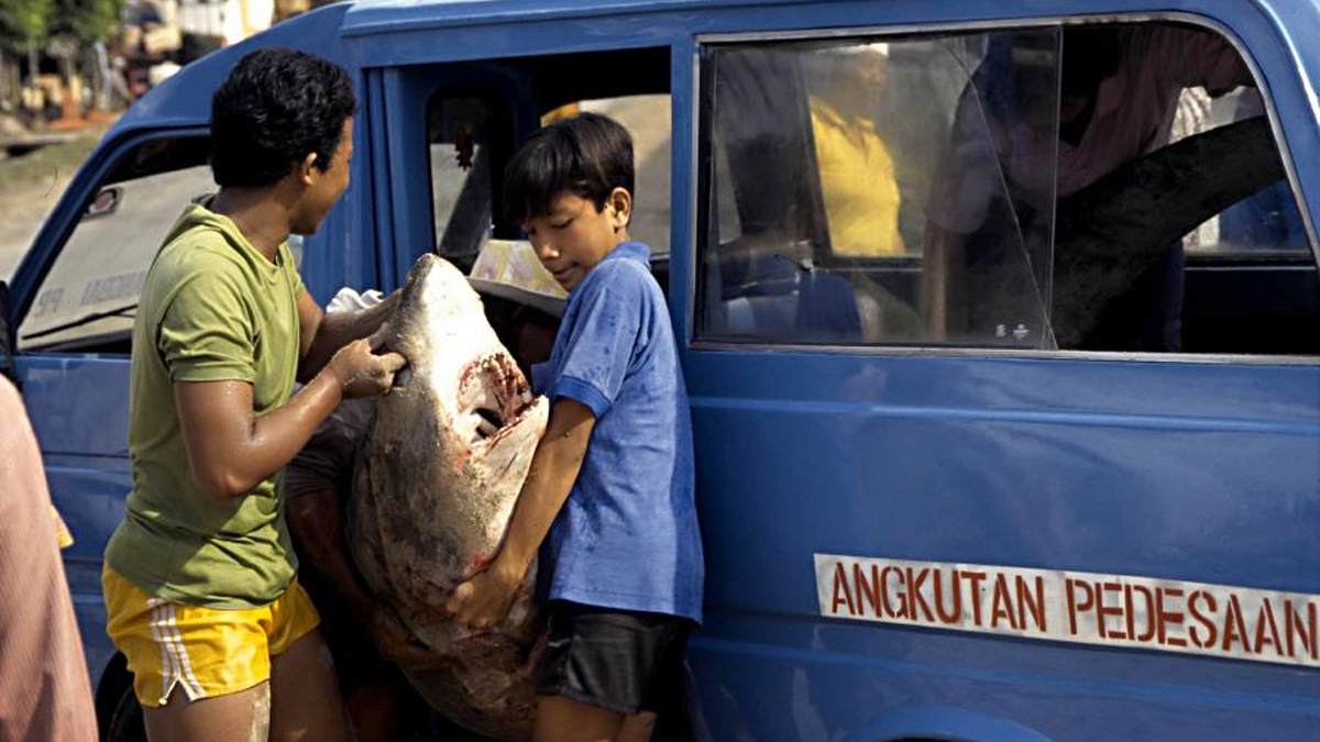 Dana Desa untuk Pengembangan Angkutan Perdesaan