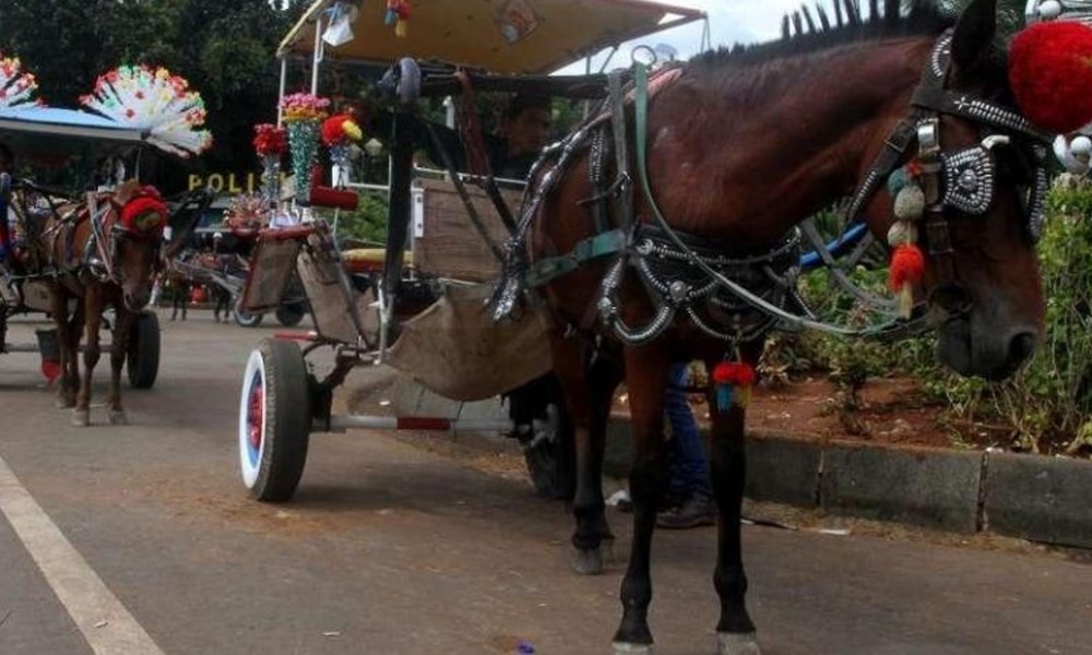 Menakar Ulang Kompensasi Transportasi Jabar Saat Mudik Lebaran
