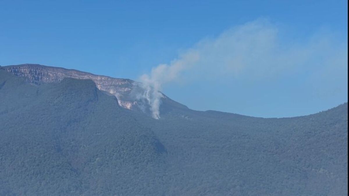 Kemenhut Tutup Pendakian Gunung Gede Imbas Kebakaran di Kawah Wadon