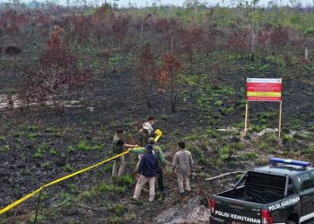 Kemenhut Beri Sanksi 32 Perusahaan Terkait Karhutla, Ada Sawit?