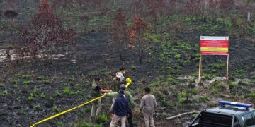 Kemenhut Beri Sanksi 32 Perusahaan Terkait Karhutla, Ada Sawit?