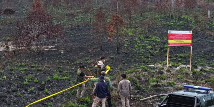 Kemenhut Beri Sanksi 32 Perusahaan Terkait Karhutla, Ada Sawit?