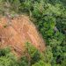 WALHI Pertanyakan Skema Biodiversity PT AP Milik Jardine