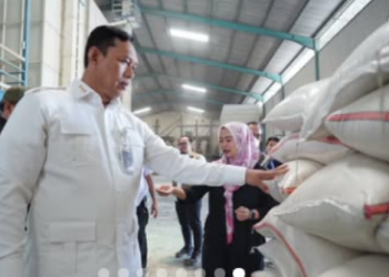 Sidak Mitra Makloon Sragen, Dirut BULOG Ultimatum Keras Penggilingan Swasta!