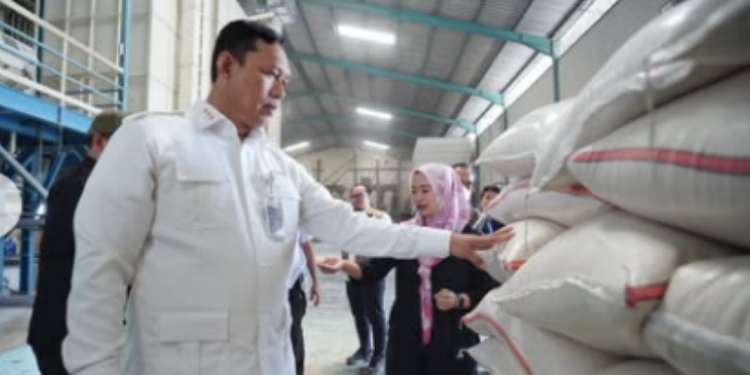 Sidak Mitra Makloon Sragen, Dirut BULOG Ultimatum Keras Penggilingan Swasta!
