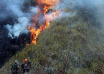 Empat Petugas Meninggal di Karhutla Bromo, Khofifah Sampaikan Duka Mendalam
