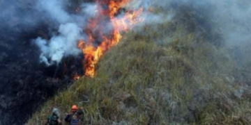 Empat Petugas Meninggal di Karhutla Bromo, Khofifah Sampaikan Duka Mendalam