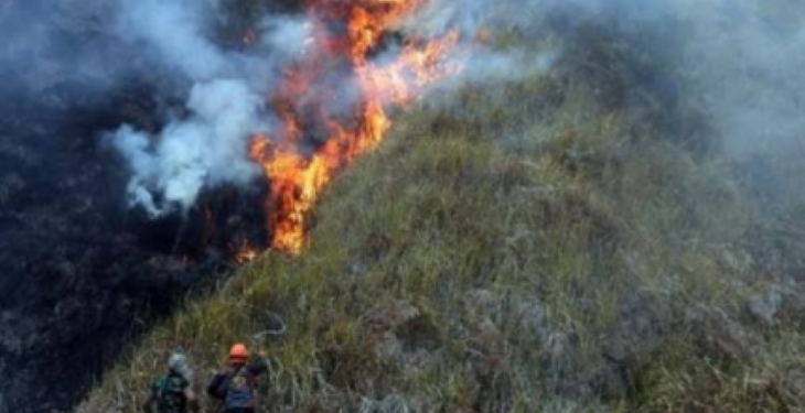 Empat Petugas Meninggal di Karhutla Bromo, Khofifah Sampaikan Duka Mendalam