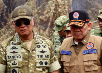 Kepala BNPB dan Kasad Tinjau Langsung Karhutla di Pulang Pisau Kalteng